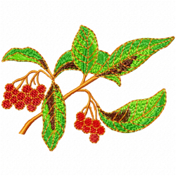 Berries Embroidery Design 8